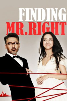 poster Finding Mr  right  (2013)
