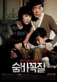 poster Hide and Seek  (2013)