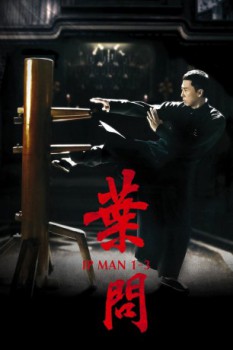 poster Ip Man Collection
